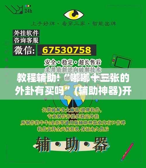 教程辅助!“嘟嘟十三张的外卦有买吗”(辅助神器)开挂详细教程