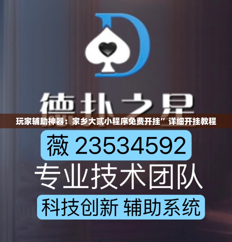 玩家辅助神器：家乡大贰小程序免费开挂”详细开挂教程