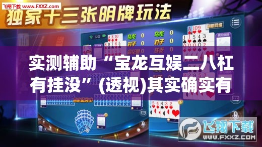 实测辅助“宝龙互娱二八杠有挂没”(透视)其实确实有挂
