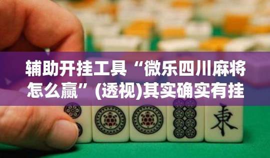 辅助开挂工具“微乐四川麻将怎么赢	”(透视)其实确实有挂