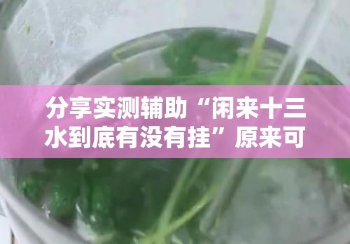 分享实测辅助“闲来十三水到底有没有挂”原来可以开挂
