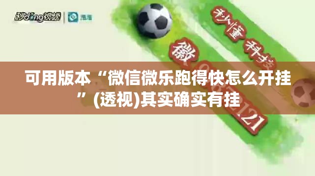 可用版本“微信微乐跑得快怎么开挂”(透视)其实确实有挂