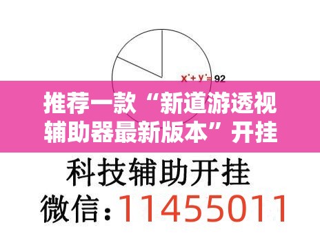 推荐一款“新道游透视辅助器最新版本”开挂辅助脚本+详细开挂安装教程