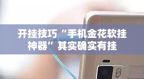 开挂技巧“手机金花软挂神器”其实确实有挂