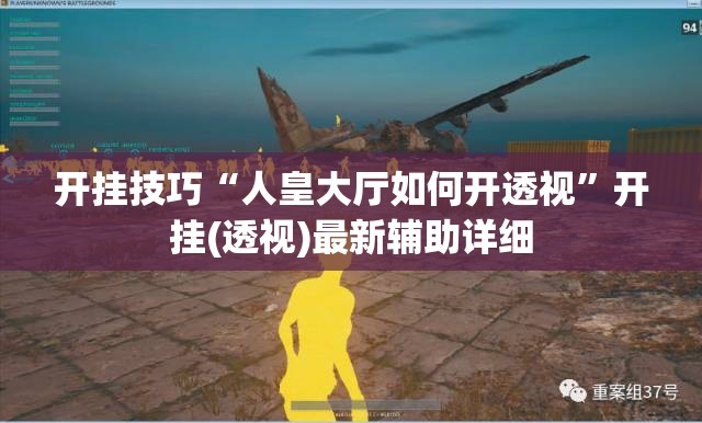 开挂技巧“人皇大厅如何开透视”开挂(透视)最新辅助详细