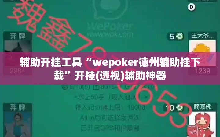 辅助开挂工具“wepoker德州辅助挂下载”开挂(透视)辅助神器