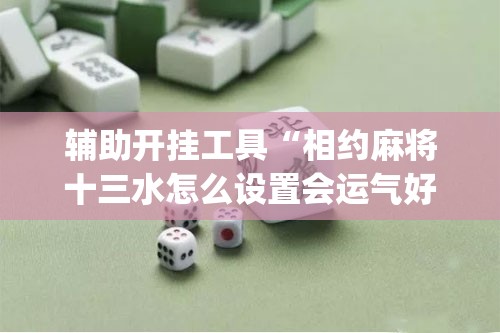 辅助开挂工具“相约麻将十三水怎么设置会运气好(透视)”开挂辅助脚本+详细开挂安装教程