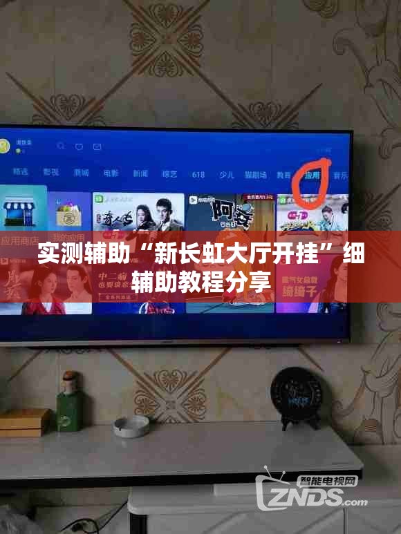 实测辅助“新长虹大厅开挂”细辅助教程分享
