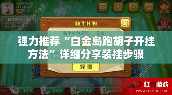 强力推荐“白金岛跑胡子开挂方法”详细分享装挂步骤