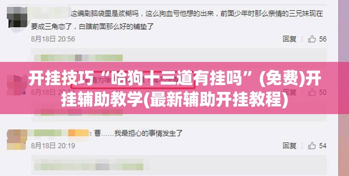 开挂技巧“哈狗十三道有挂吗”(免费)开挂辅助教学(最新辅助开挂教程)