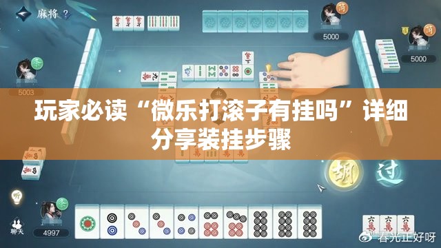 玩家必读“微乐打滚子有挂吗”详细分享装挂步骤