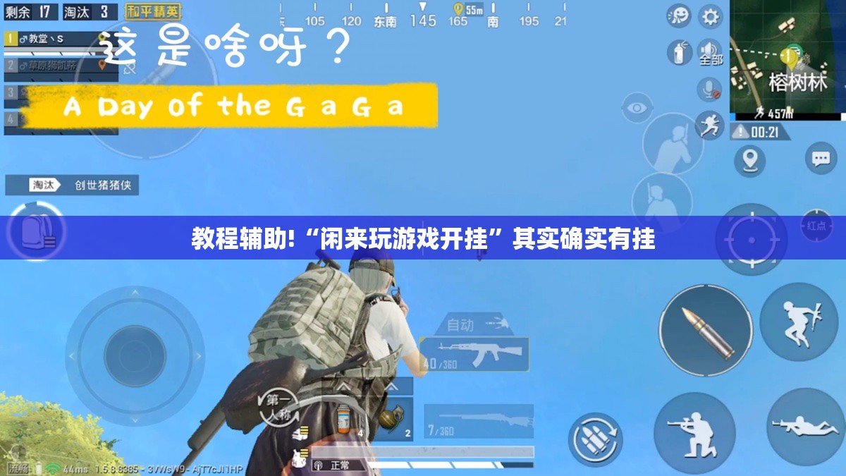 教程辅助!“闲来玩游戏开挂”其实确实有挂