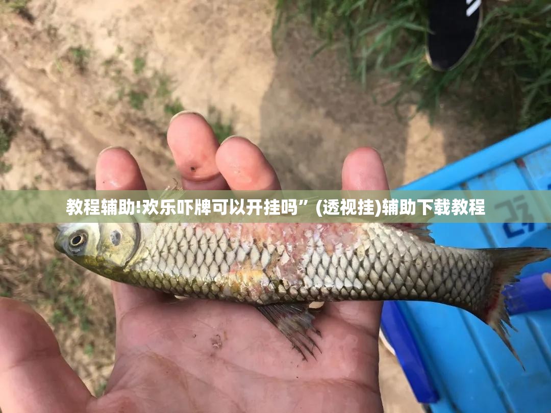 教程辅助!欢乐吓牌可以开挂吗”(透视挂)辅助下载教程