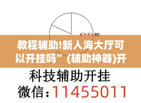 教程辅助!新人海大厅可以开挂吗”(辅助神器)开挂详细教程