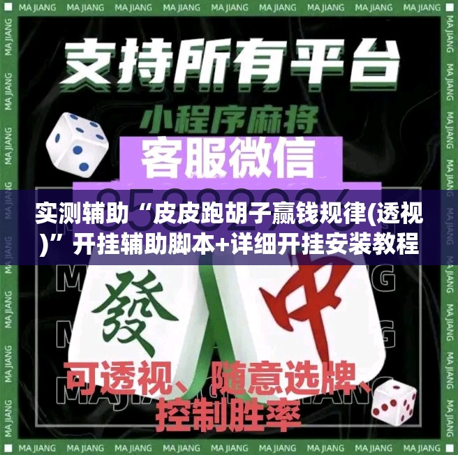 实测辅助“皮皮跑胡子赢钱规律(透视)”开挂辅助脚本+详细开挂安装教程