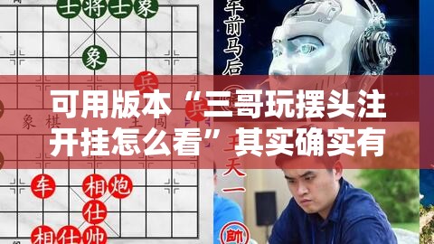 可用版本“三哥玩摆头注开挂怎么看”其实确实有挂