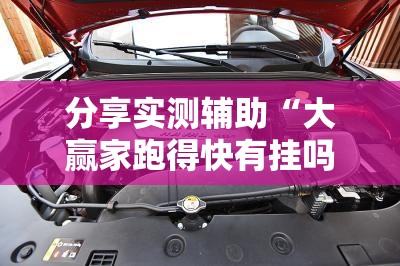 分享实测辅助“大赢家跑得快有挂吗”开挂详细教程