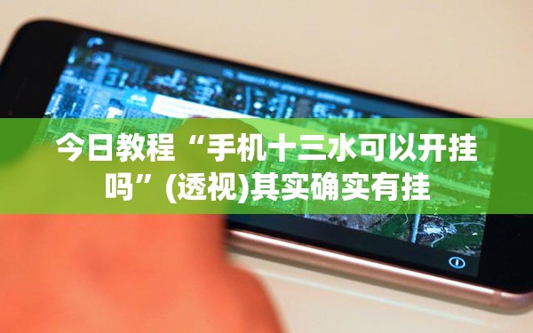 今日教程“手机十三水可以开挂吗	”(透视)其实确实有挂
