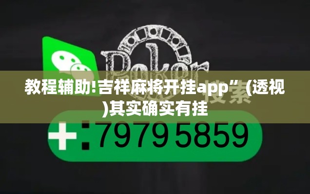 教程辅助!吉祥麻将开挂app	”(透视)其实确实有挂