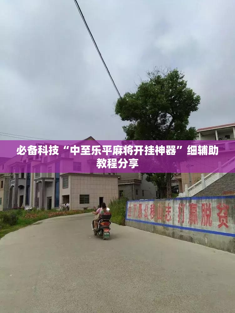 必备科技“中至乐平麻将开挂神器”细辅助教程分享