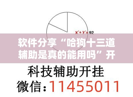 软件分享“哈狗十三道辅助是真的能用吗	”开挂辅助脚本+详细开挂安装教程