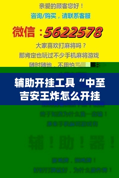 辅助开挂工具“中至吉安王炸怎么开挂”开挂(透视)辅助神器