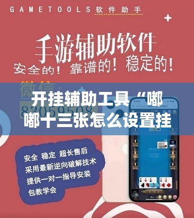 开挂辅助工具“嘟嘟十三张怎么设置挂”开挂(透视)辅助神器