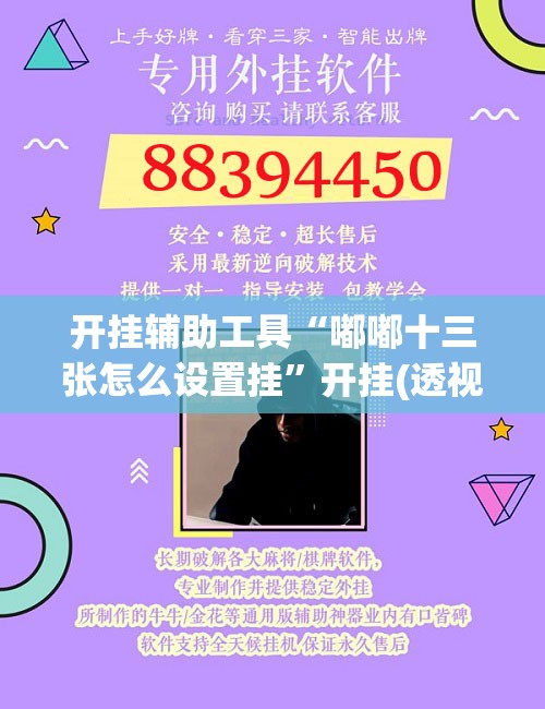 开挂辅助工具“嘟嘟十三张怎么设置挂”开挂(透视)辅助神器