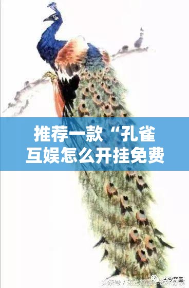推荐一款“孔雀互娱怎么开挂免费”详细开挂教程