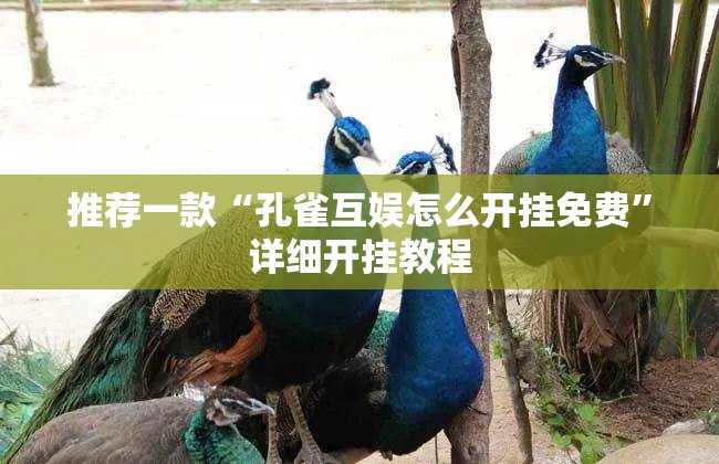推荐一款“孔雀互娱怎么开挂免费”详细开挂教程