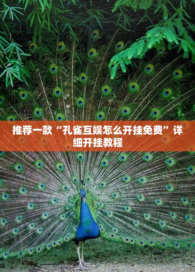 推荐一款“孔雀互娱怎么开挂免费”详细开挂教程