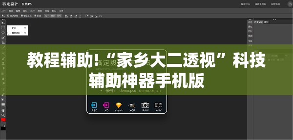 教程辅助!“家乡大二透视”科技辅助神器手机版