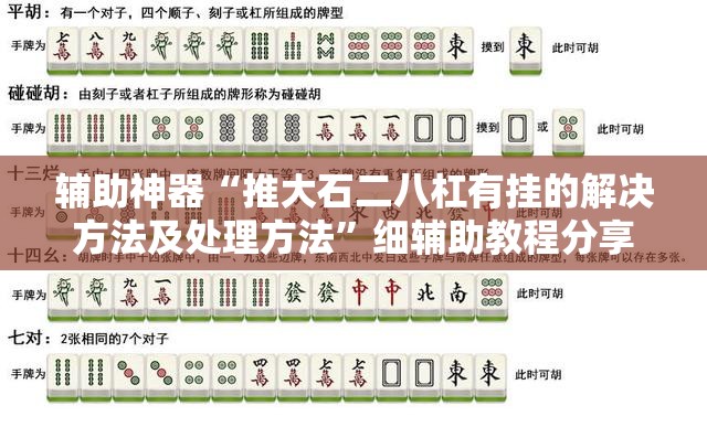 辅助神器“推大石二八杠有挂的解决方法及处理方法”细辅助教程分享