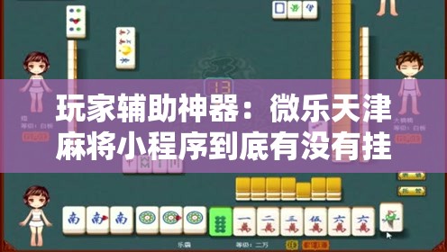 玩家辅助神器：微乐天津麻将小程序到底有没有挂”详细外挂透视辅助软件教程