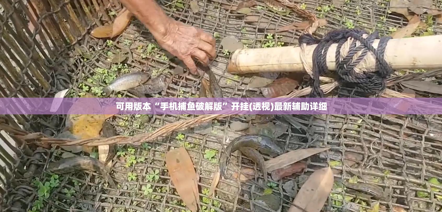 可用版本“手机捕鱼破解版	”开挂(透视)最新辅助详细