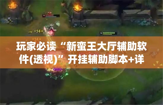 玩家必读“新蛮王大厅辅助软件(透视)”开挂辅助脚本+详细开挂安装教程