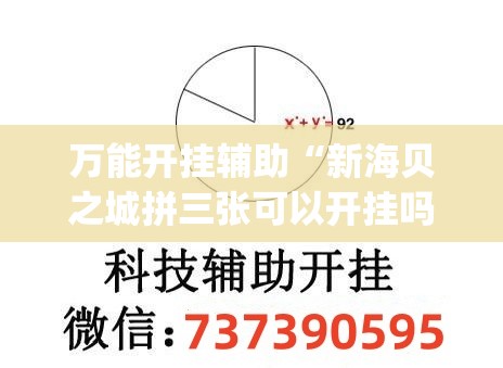 万能开挂辅助“新海贝之城拼三张可以开挂吗(透视)”开挂辅助脚本+详细开挂安装教程