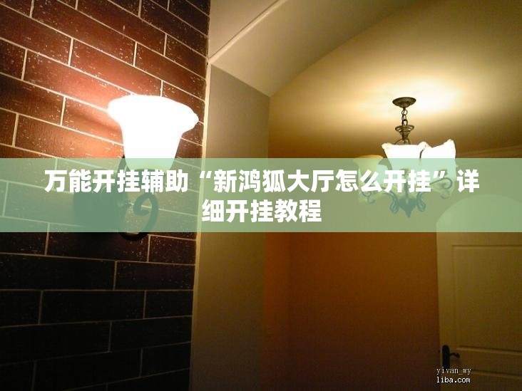 万能开挂辅助“新鸿狐大厅怎么开挂”详细开挂教程