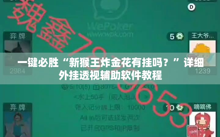 一键必胜“新猴王炸金花有挂吗？”详细外挂透视辅助软件教程