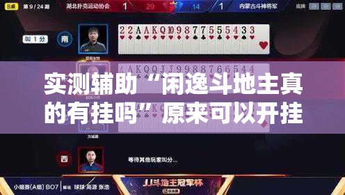实测辅助“闲逸斗地主真的有挂吗”原来可以开挂