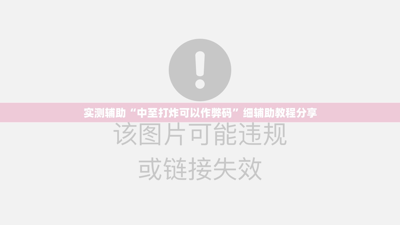 实测辅助“中至打炸可以作弊码”细辅助教程分享