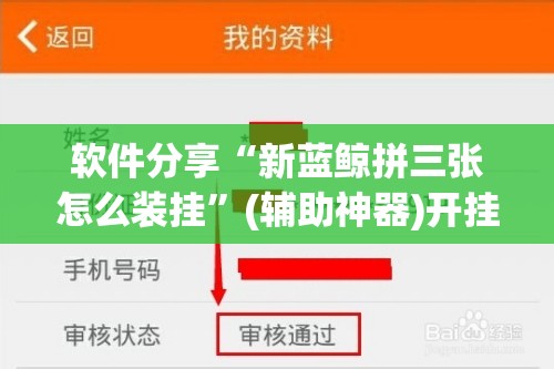 软件分享“新蓝鲸拼三张怎么装挂	”(辅助神器)开挂详细教程