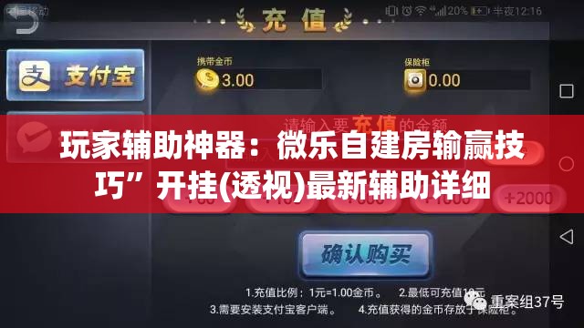 玩家辅助神器：微乐自建房输赢技巧”开挂(透视)最新辅助详细