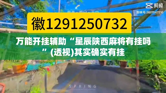 万能开挂辅助“星辰陕西麻将有挂吗”(透视)其实确实有挂