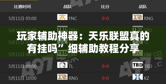 玩家辅助神器：天乐联盟真的有挂吗”细辅助教程分享