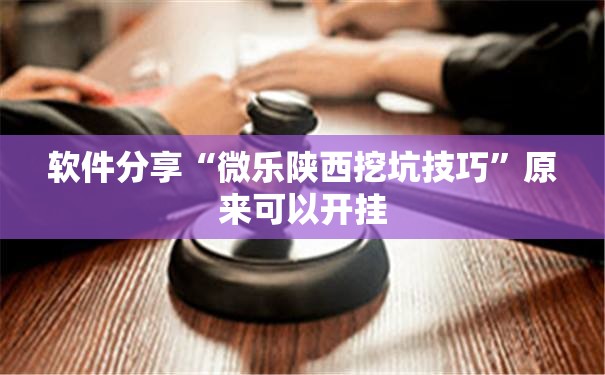 软件分享“微乐陕西挖坑技巧”原来可以开挂