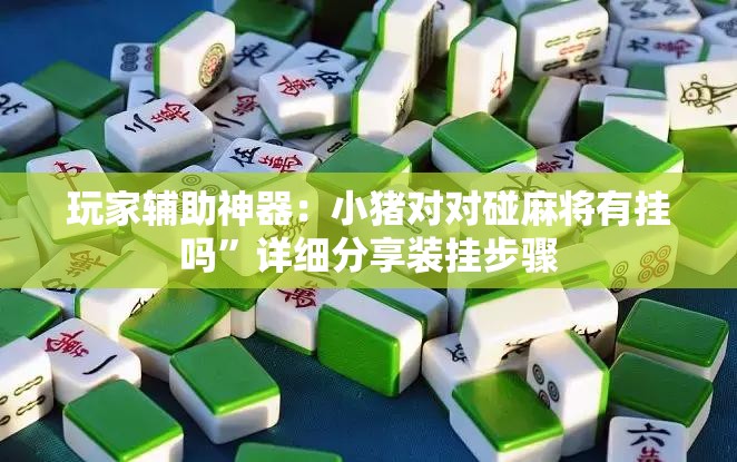 玩家辅助神器：小猪对对碰麻将有挂吗	”详细分享装挂步骤