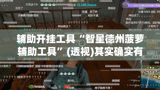 辅助开挂工具“智星德州菠萝辅助工具”(透视)其实确实有挂