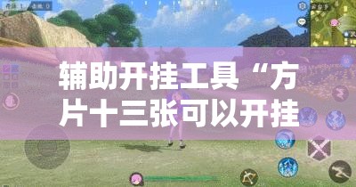 辅助开挂工具“方片十三张可以开挂吗”其实确实有挂