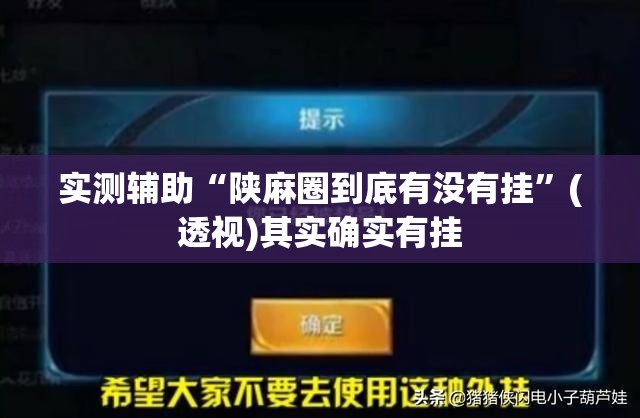 实测辅助“陕麻圈到底有没有挂”(透视)其实确实有挂